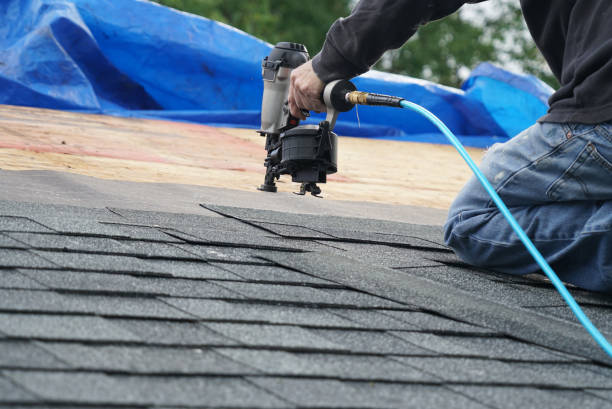 Best Roof Maintenance and Cleaning  in Russellville, AL